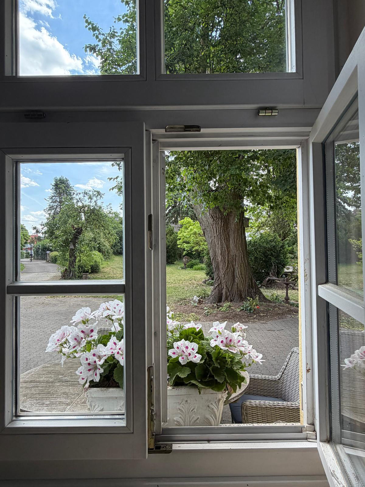 Blick aus dem Fenster - Praxis Sylvia Hübner